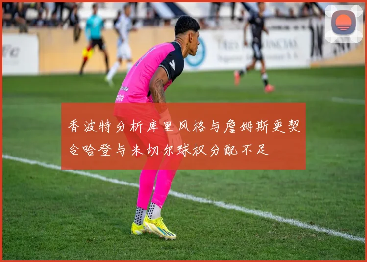 香波特分析库里风格与詹姆斯更契合哈登与米切尔球权分配不足